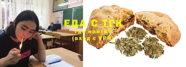 индика Кулебаки