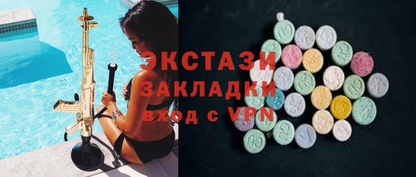 индика Кулебаки