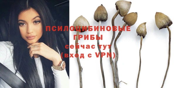 индика Кулебаки