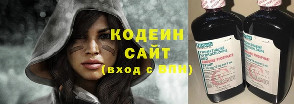 индика Кулебаки