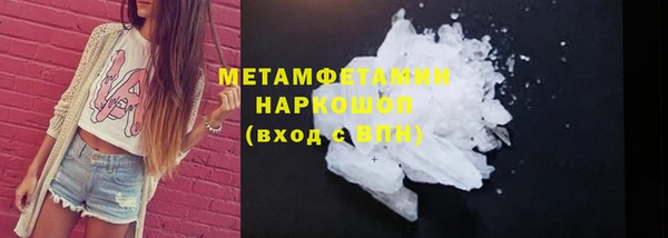 индика Кулебаки