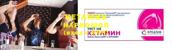 индика Кулебаки