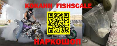 тгк Гай