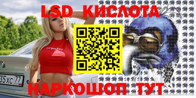 тгк Гай