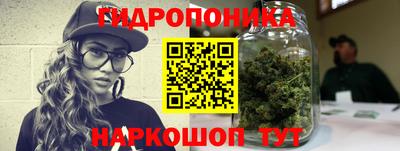 тгк Гай