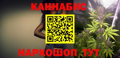 тгк Гай