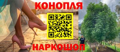 тгк Гай
