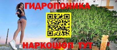 тгк Гай