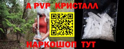 скорость Гатчина