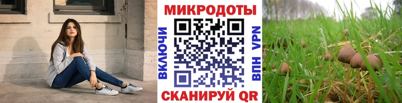 Галлюциногенные грибы Psilocybine cubensis  Майский 