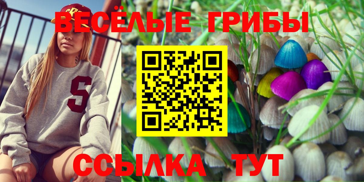 НБОМе Майский