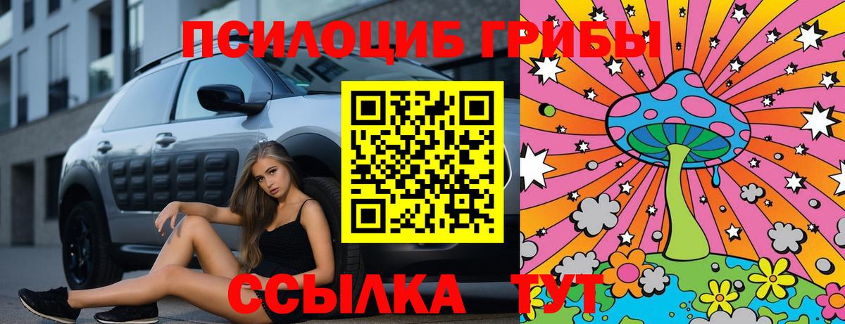 Майский  Галлюциногенные грибы прущие грибы  Вход с VPN 