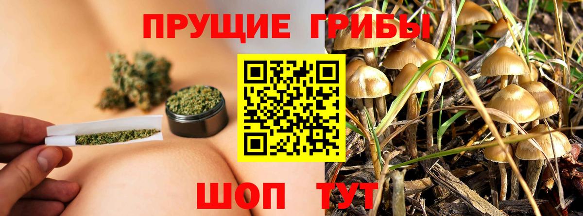 Псилоцибиновые грибы Magic Shrooms Майский